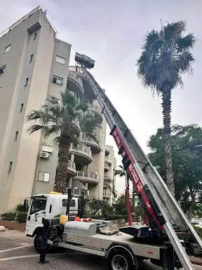 עבודה של אבי, מפעיל מנוף (6)