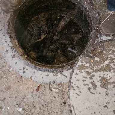 עבודה של אריק, חברת ביובית (12)