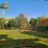 תמונה שצירף לקוח לביקורת על ירין, גנן (1)