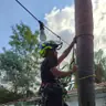 תמונה שצירף לקוח לביקורת על שמעון, גנן (3)
