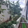 תמונה שצירף לקוח לביקורת על אילן, גנן (1)