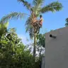 תמונה שצירף לקוח לביקורת על שמעון, גנן (1)