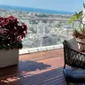 תמונה שצירף לקוח לביקורת על אילן, גנן (1)