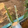 תמונה שצירף לקוח לביקורת על רן, יועץ קרקע (1)