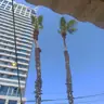 תמונה שצירף לקוח לביקורת על אלי, גוזם עצים (1)