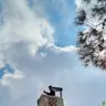 תמונה שצירף לקוח לביקורת על אלירן, מפעיל מנוף (2)