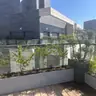 תמונה שצירף לקוח לביקורת על מודי, גנן (1)