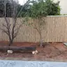 תמונה שצירף לקוח לביקורת על פורת, גנן (3)