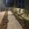 תמונה שצירף לקוח לביקורת על אילן, גנן (1)