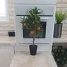 תמונה שצירף לקוח לביקורת על יהודה, קבלן שיש (1)