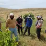 תמונה שצירף לקוח לביקורת על רן, יועץ קרקע (4)