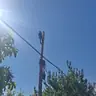 תמונה שצירף לקוח לביקורת על שמעון, גנן (1)