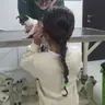 תמונה שצירף לקוח לביקורת על ירון, וטרינר (1)