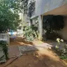 תמונה שצירף לקוח לביקורת על רן, גנן (1)