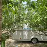 תמונה שצירף לקוח לביקורת על ישי, קראוון נייד (2)