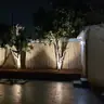 תמונה שצירף לקוח לביקורת על פורת, גנן (4)