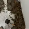תמונה שצירף לקוח לביקורת על פיני, אינסטלטור (1)