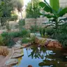 תמונה שצירף לקוח לביקורת על ערן, גנן (5)