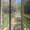 תמונה שצירף לקוח לביקורת על ערן, גנן (9)