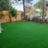 תמונה שצירף לקוח לביקורת על מודי, גנן (2)