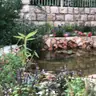 תמונה שצירף לקוח לביקורת על ערן, גנן (1)