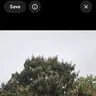 תמונה שצירף לקוח לביקורת על רן, יועץ קרקע (3)