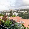 תמונה שצירף לקוח לביקורת על ערן, גנן (1)
