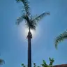 תמונה שצירף לקוח לביקורת על שמעון, גנן (1)