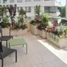 תמונה שצירף לקוח לביקורת על אילן, גנן (1)