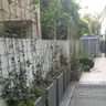 תמונה שצירף לקוח לביקורת על נדב, גנן (2)