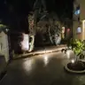 תמונה שצירף לקוח לביקורת על פורת, גנן (2)