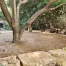 תמונה שצירף לקוח לביקורת על דור, גנן (4)