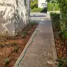 תמונה שצירף לקוח לביקורת על דור, גנן (7)