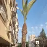 תמונה שצירף לקוח לביקורת על אלי, גוזם עצים (2)