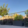 תמונה שצירף לקוח לביקורת על דניאל, גנן (2)