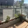 תמונה שצירף לקוח לביקורת על מודי, גנן (3)