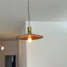 תמונה שצירף לקוח לביקורת על דניאל, צבע (2)