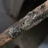 תמונה שצירף לקוח לביקורת על אבירם, מאתר נזילות (1)