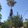 תמונה שצירף לקוח לביקורת על שמעון, גנן (2)