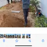 תמונה שצירף לקוח לביקורת על אורן, גנן (1)