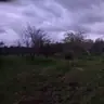 תמונה שצירף לקוח לביקורת על מרכז לאופק קרוואנים וקמפינג, בניית קראוון (1)