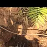 תמונה שצירף לקוח לביקורת על תומר, חברת ביובית (1)