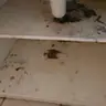 תמונה שצירף לקוח לביקורת על רדה, אינסטלטור (1)