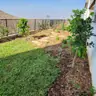 תמונה שצירף לקוח לביקורת על נדב, גנן (3)