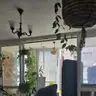 תמונה שצירף לקוח לביקורת על קוסטה, מוביל (1)
