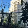 תמונה שצירף לקוח לביקורת על נדב, גנן (1)