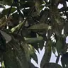 תמונה שצירף לקוח לביקורת על רן, יועץ קרקע (2)