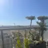 תמונה שצירף לקוח לביקורת על מודי, גנן (2)