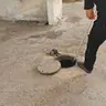 תמונה שצירף לקוח לביקורת על אריק, חברת ביובית (5)