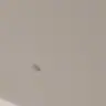 תמונה שצירף לקוח לביקורת על דור, מדביר (1)